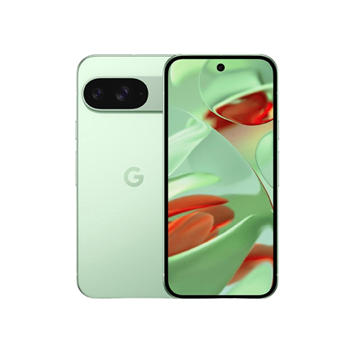 Смартфон Google Pixel 9 12/256GB Wintergreen