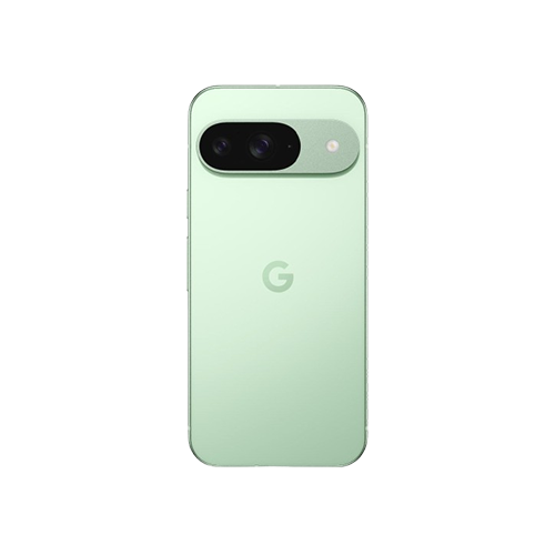 Смартфон Google Pixel 9 12/256GB Wintergreen 1 Small